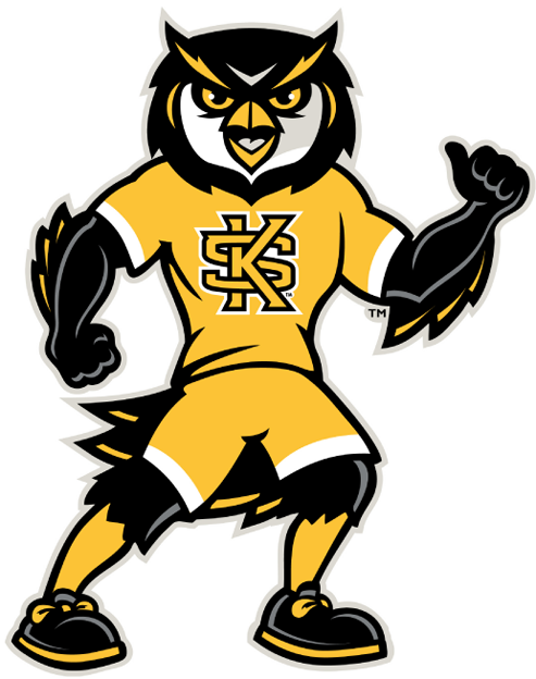 Kennesaw State Owls 2012-Pres Mascot Logo iron on transfers for clothing